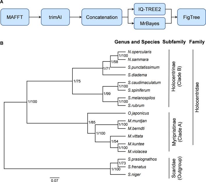 https://cdn.ncbi.nlm.nih.gov/pmc/blobs/bb29/11829546/575e8f9b52df/12859_2025_6034_Fig3_HTML.jpg