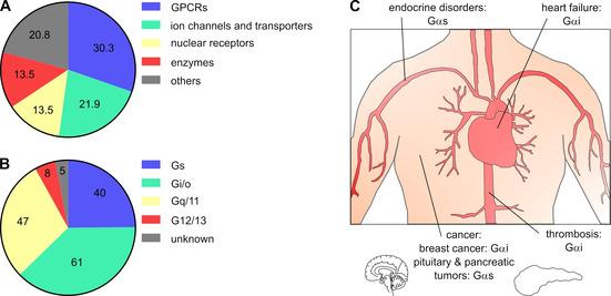https://cdn.ncbi.nlm.nih.gov/pmc/blobs/bb29/8252600/00fca81542ce/CMDC-16-1697-g009.jpg