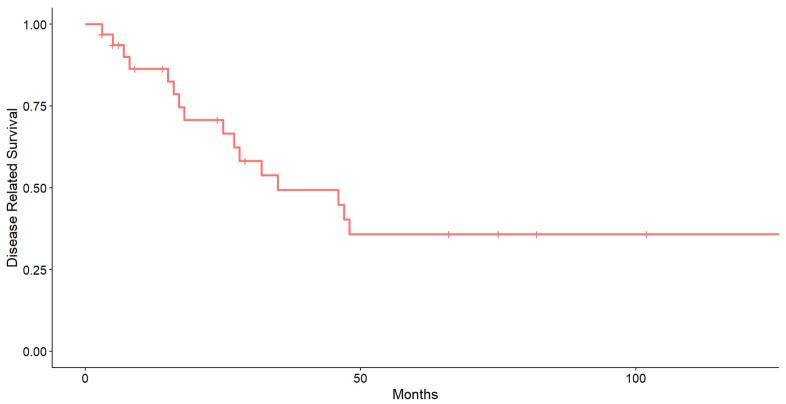 https://cdn.ncbi.nlm.nih.gov/pmc/blobs/bb2b/12153758/cd0b7fefb36c/cancers-17-01875-g001.jpg