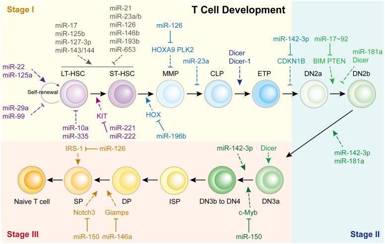 https://cdn.ncbi.nlm.nih.gov/pmc/blobs/bb2c/10803515/ad082b05cda6/fimmu-14-1320305-g001.jpg