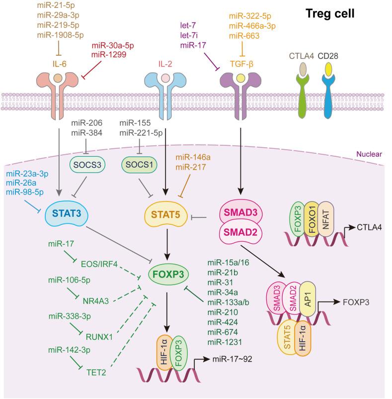 https://cdn.ncbi.nlm.nih.gov/pmc/blobs/bb2c/10803515/b8d83019cbad/fimmu-14-1320305-g006.jpg
