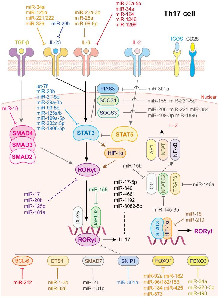 https://cdn.ncbi.nlm.nih.gov/pmc/blobs/bb2c/10803515/fc291122af56/fimmu-14-1320305-g004.jpg
