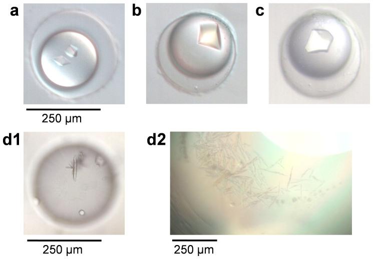 https://cdn.ncbi.nlm.nih.gov/pmc/blobs/bb2c/5154416/484e4c09057c/srep05046-f4.jpg