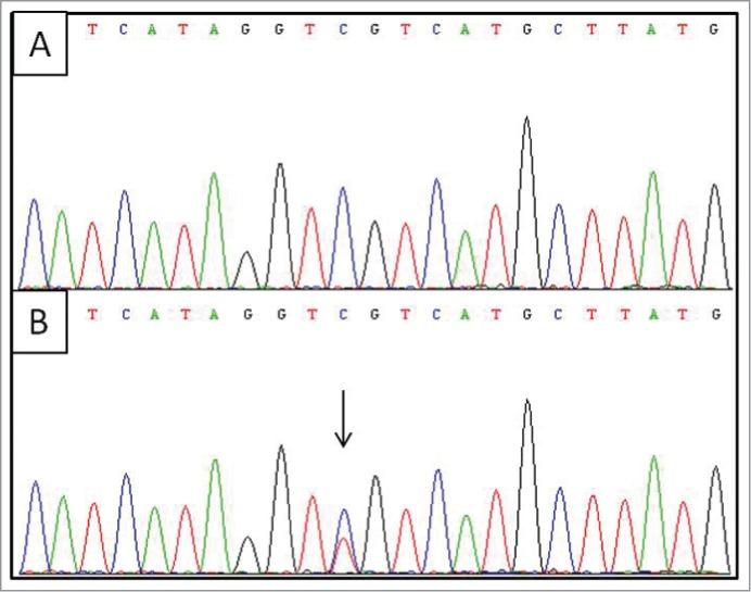 https://cdn.ncbi.nlm.nih.gov/pmc/blobs/bb2f/4622530/bcdf9459dc74/kepi-09-11-971624-g001.jpg