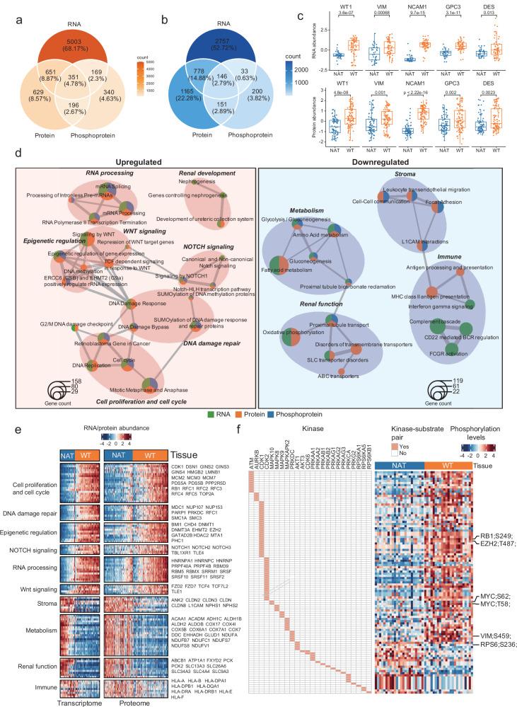 https://cdn.ncbi.nlm.nih.gov/pmc/blobs/bb30/12365320/4f3b641259c2/41467_2025_62234_Fig2_HTML.jpg