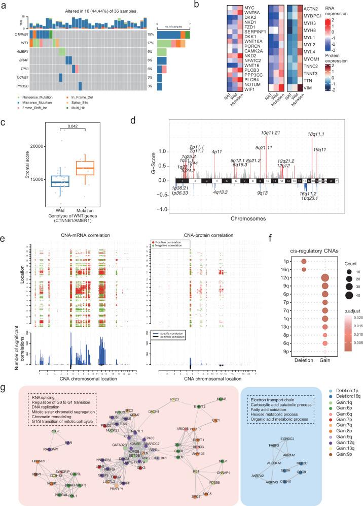 https://cdn.ncbi.nlm.nih.gov/pmc/blobs/bb30/12365320/cf8c54c1dea6/41467_2025_62234_Fig3_HTML.jpg