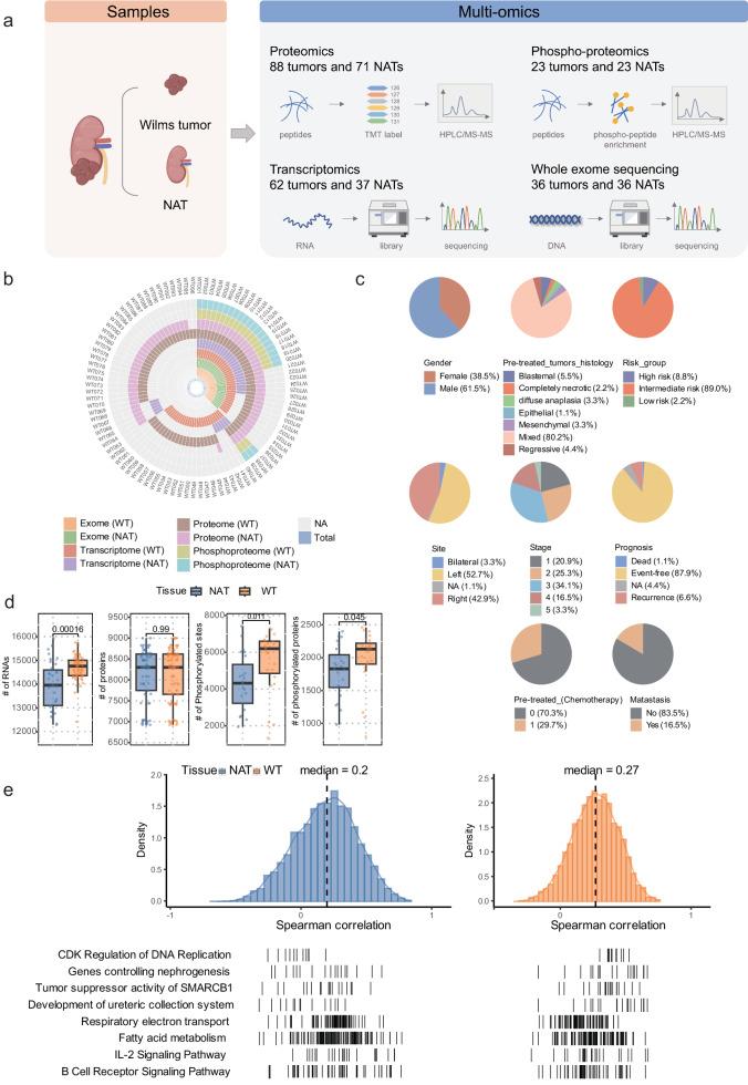 https://cdn.ncbi.nlm.nih.gov/pmc/blobs/bb30/12365320/d2b3a4157313/41467_2025_62234_Fig1_HTML.jpg