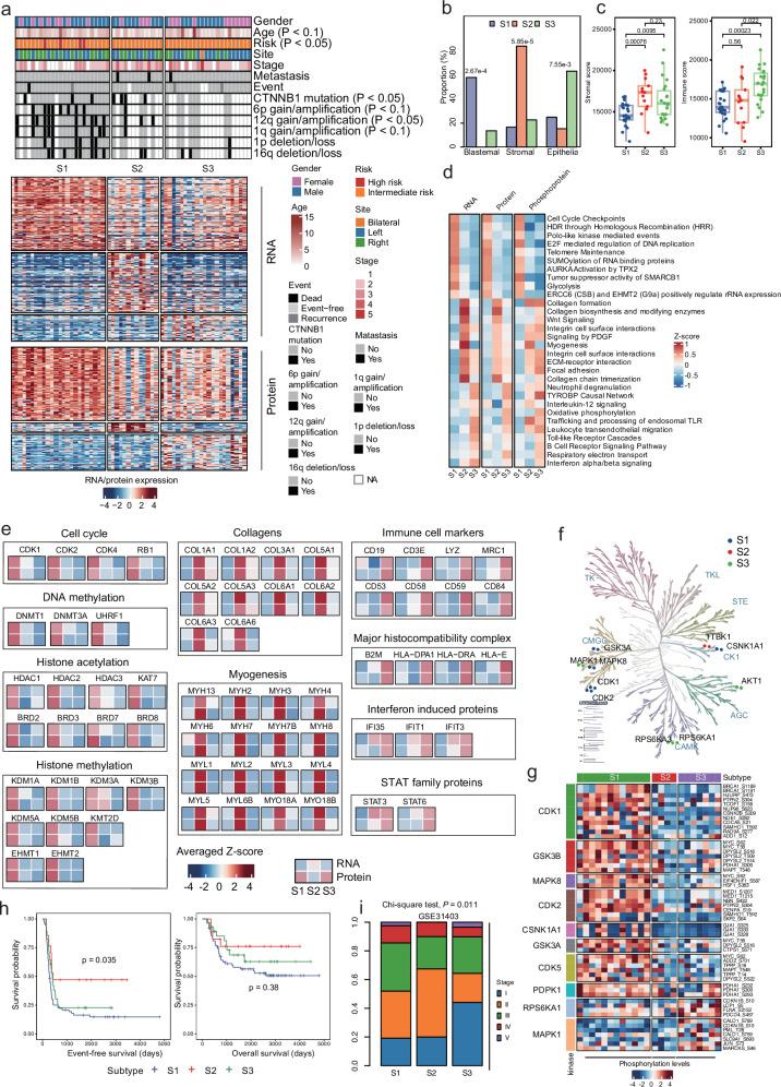 https://cdn.ncbi.nlm.nih.gov/pmc/blobs/bb30/12365320/d91de093c772/41467_2025_62234_Fig4_HTML.jpg
