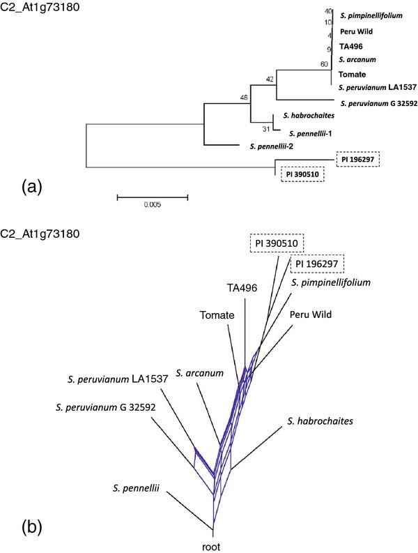 https://cdn.ncbi.nlm.nih.gov/pmc/blobs/bb33/3462117/c9b5562b4aff/1471-2229-12-133-3.jpg
