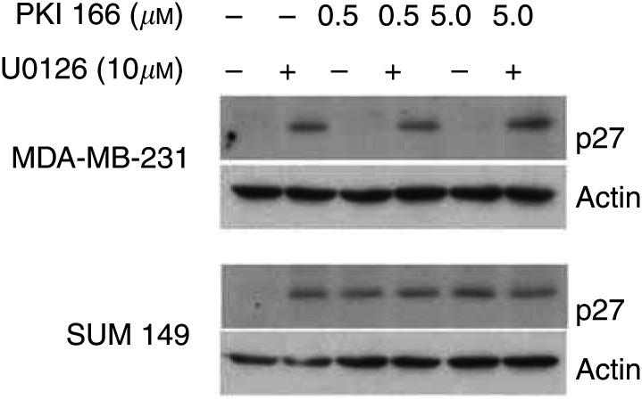 https://cdn.ncbi.nlm.nih.gov/pmc/blobs/bb37/2364773/bb7d74dad276/91-6602051f4.jpg