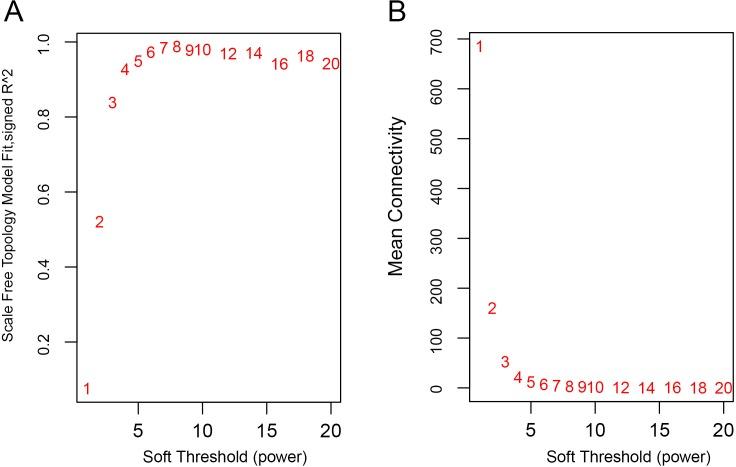 https://cdn.ncbi.nlm.nih.gov/pmc/blobs/bb3b/7003696/6e49608379c8/peerj-08-8456-g001.jpg