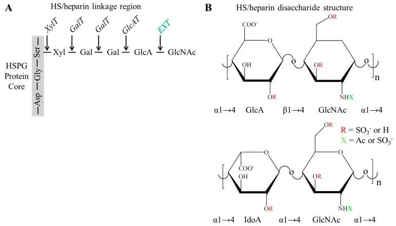 https://cdn.ncbi.nlm.nih.gov/pmc/blobs/bb3c/6272578/6b0124a82f4a/molecules-20-04254-g001.jpg