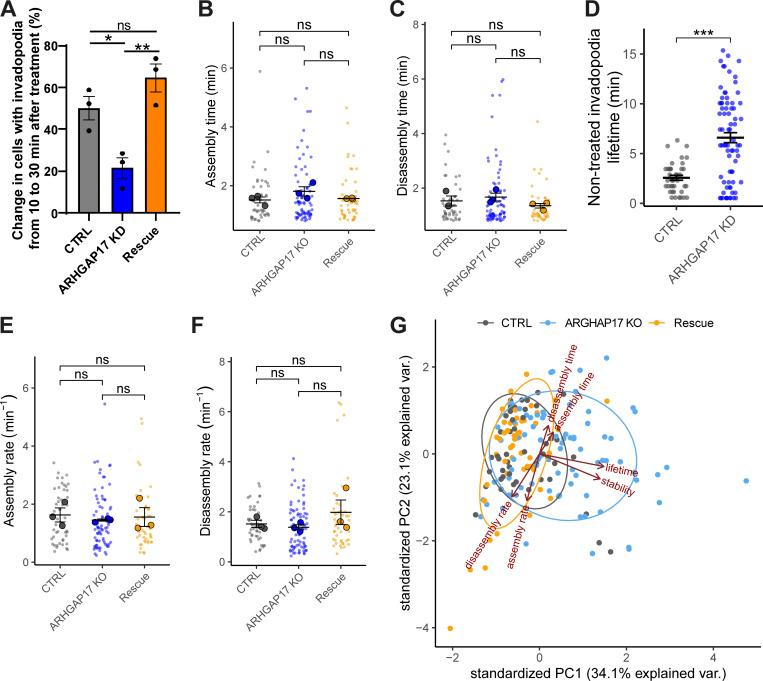 https://cdn.ncbi.nlm.nih.gov/pmc/blobs/bb41/9794838/aed99676b7f1/JCB_202207020_FigS3.jpg