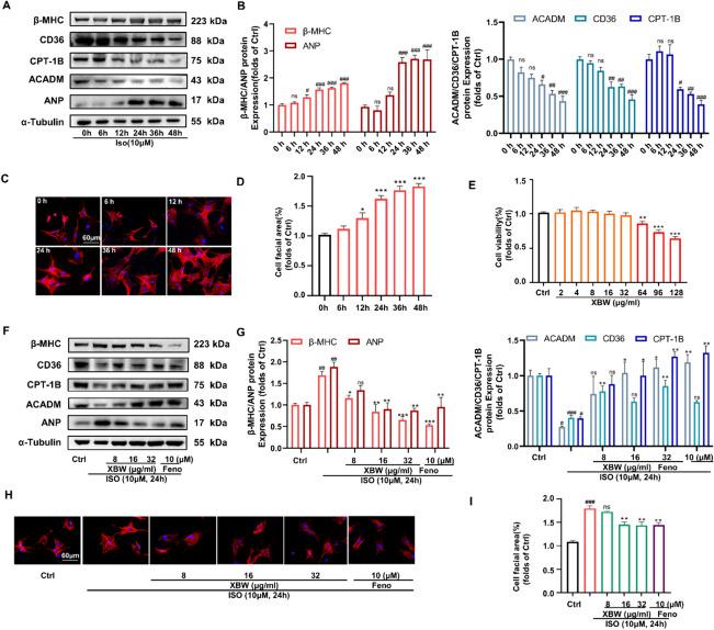 https://cdn.ncbi.nlm.nih.gov/pmc/blobs/bb42/11165817/21d9ff753fe2/13020_2024_959_Fig1_HTML.jpg