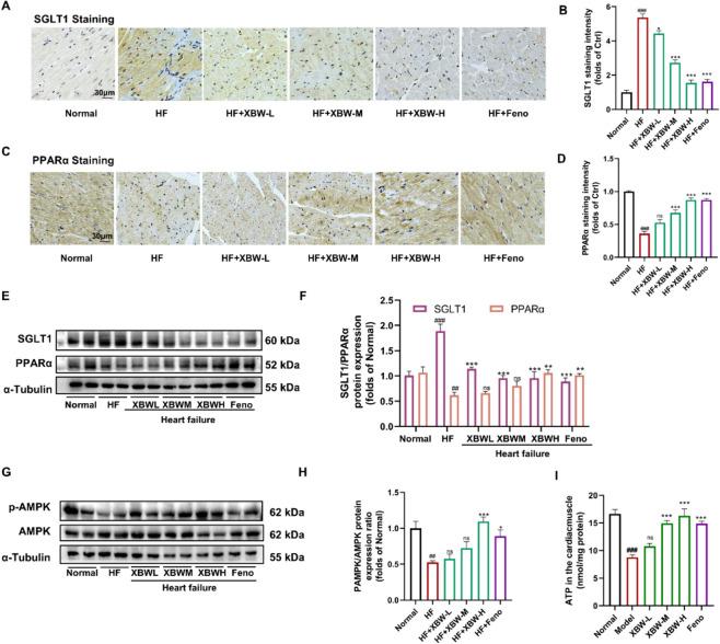 https://cdn.ncbi.nlm.nih.gov/pmc/blobs/bb42/11165817/278feea8d786/13020_2024_959_Fig7_HTML.jpg