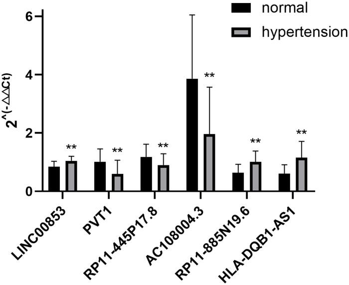 https://cdn.ncbi.nlm.nih.gov/pmc/blobs/bb45/10311024/048685923dd8/fcvm-10-1155767-g004.jpg
