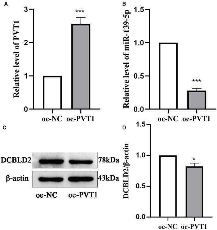 https://cdn.ncbi.nlm.nih.gov/pmc/blobs/bb45/10311024/4eea6cb39459/fcvm-10-1155767-g005.jpg