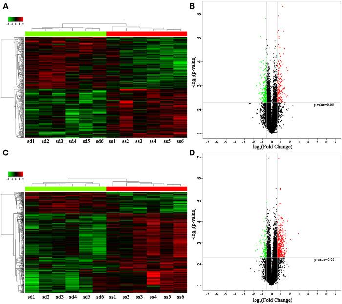 https://cdn.ncbi.nlm.nih.gov/pmc/blobs/bb45/10311024/8d6a1824bbed/fcvm-10-1155767-g001.jpg