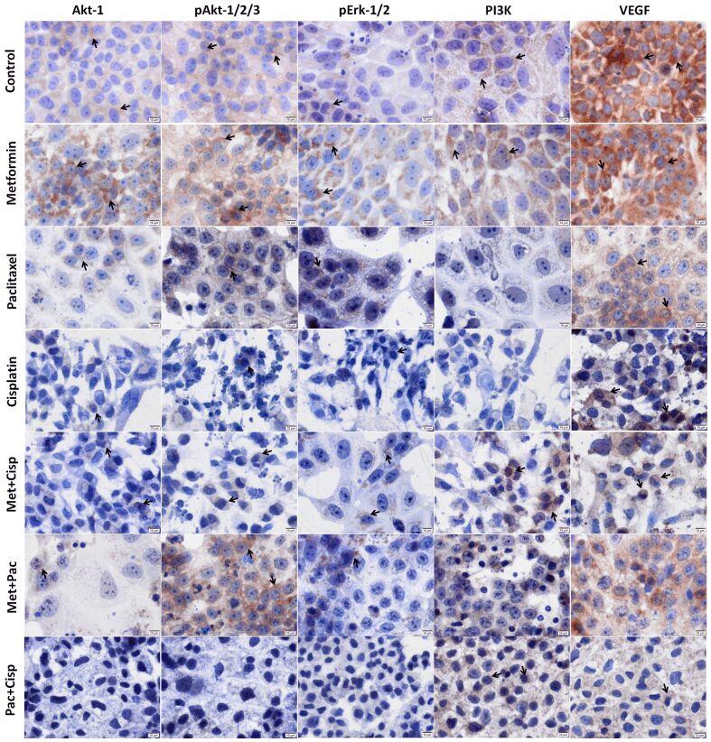 https://cdn.ncbi.nlm.nih.gov/pmc/blobs/bb45/8112780/d6b60107913e/RJME-61-3-707-fig3.jpg
