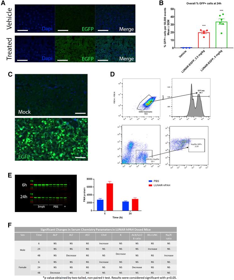 https://cdn.ncbi.nlm.nih.gov/pmc/blobs/bb48/8933640/67e749a6250a/gr3.jpg