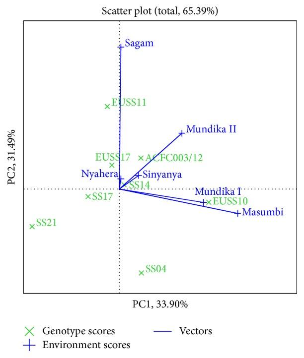 https://cdn.ncbi.nlm.nih.gov/pmc/blobs/bb49/5061992/722501ac9e15/TSWJ2016-4060857.008.jpg