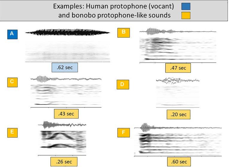 https://cdn.ncbi.nlm.nih.gov/pmc/blobs/bb49/6455048/51ad2eb64699/fpsyg-10-00729-g002.jpg