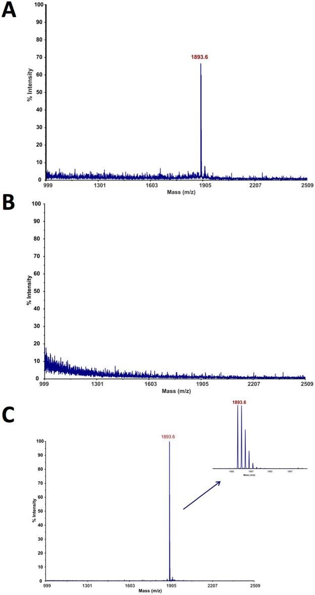 https://cdn.ncbi.nlm.nih.gov/pmc/blobs/bb4a/5464627/c8d83e9ba544/pone.0179201.g002.jpg
