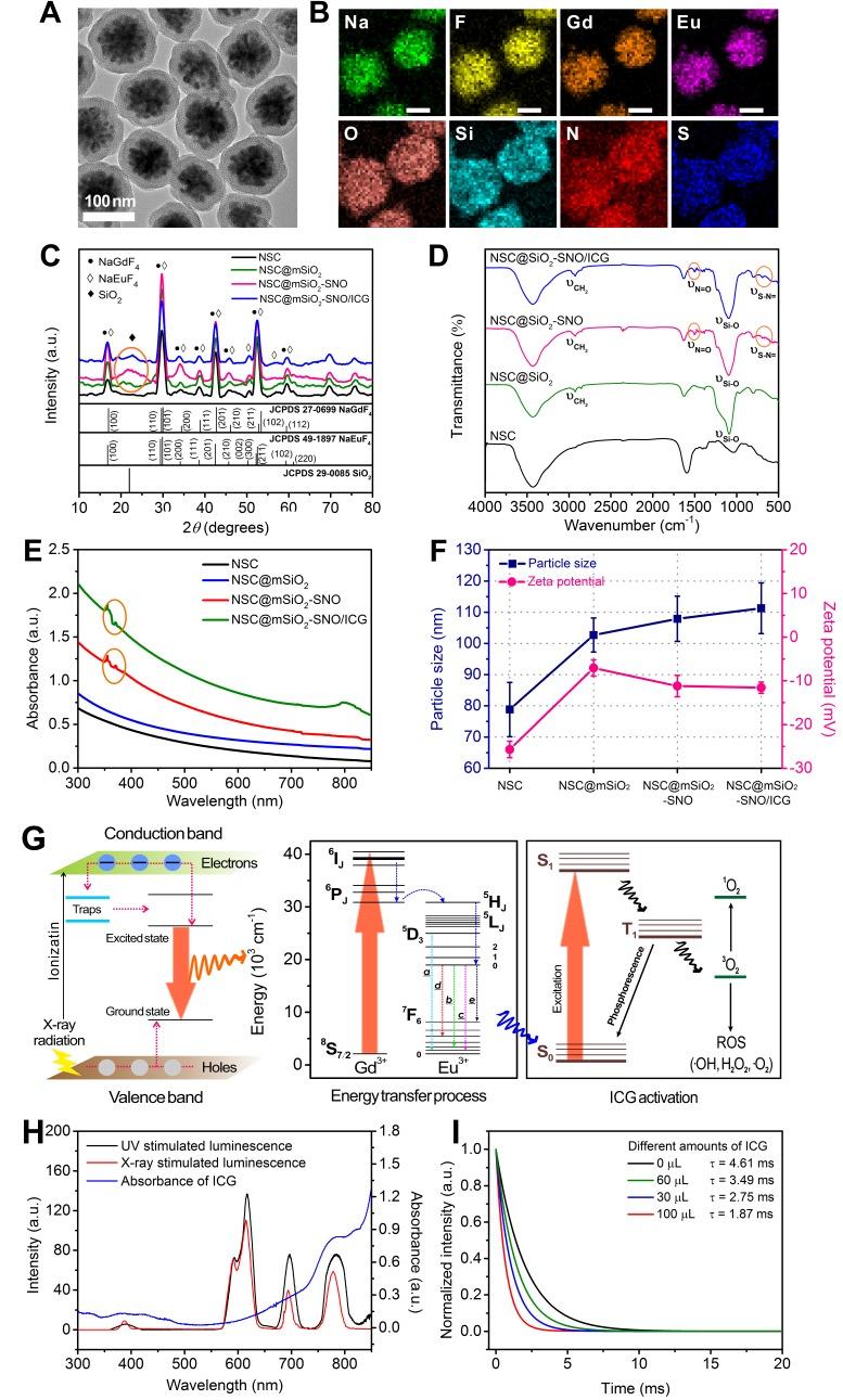 https://cdn.ncbi.nlm.nih.gov/pmc/blobs/bb4a/6299445/32b5bd8cb57a/thnov08p5870g002.jpg