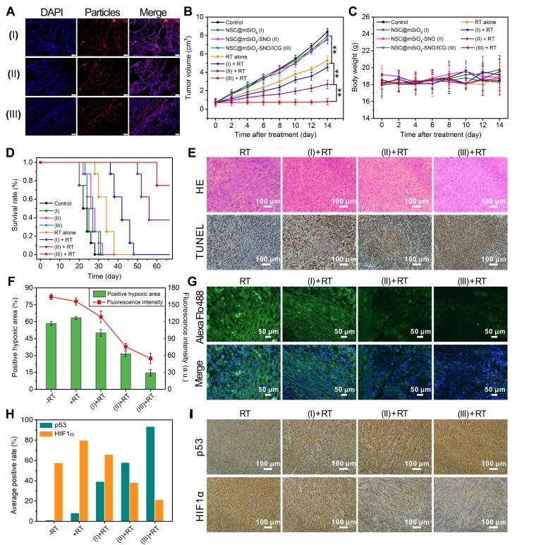 https://cdn.ncbi.nlm.nih.gov/pmc/blobs/bb4a/6299445/79d22416dd79/thnov08p5870g007.jpg