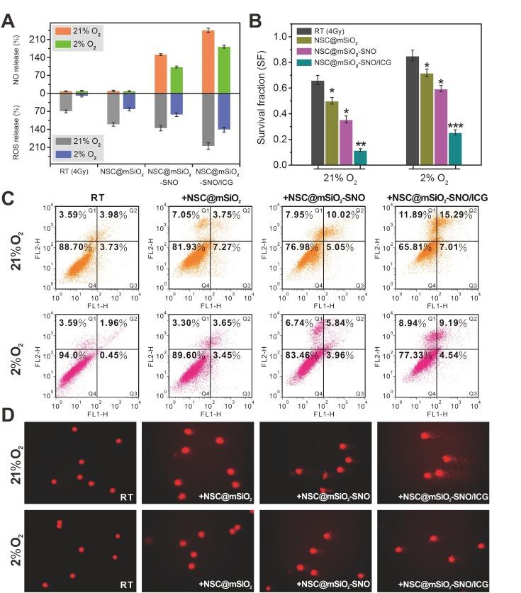 https://cdn.ncbi.nlm.nih.gov/pmc/blobs/bb4a/6299445/7c10fdeba3a0/thnov08p5870g005.jpg