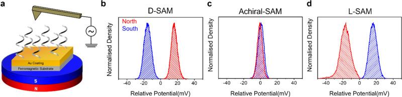 https://cdn.ncbi.nlm.nih.gov/pmc/blobs/bb4d/10906005/35f8b8a18aad/cr3c00661_0007.jpg