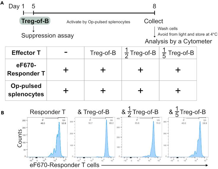 https://cdn.ncbi.nlm.nih.gov/pmc/blobs/bb4d/11227008/8340d6e0a179/gr4.jpg