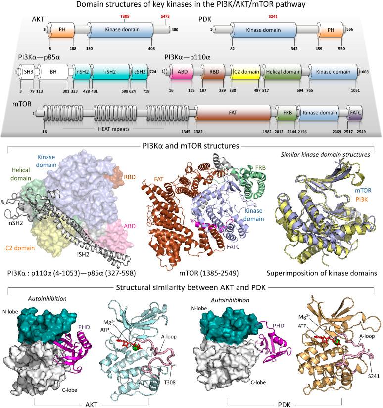 https://cdn.ncbi.nlm.nih.gov/pmc/blobs/bb4e/12378555/d4b366b02cb9/d5sc04657b-f4.jpg