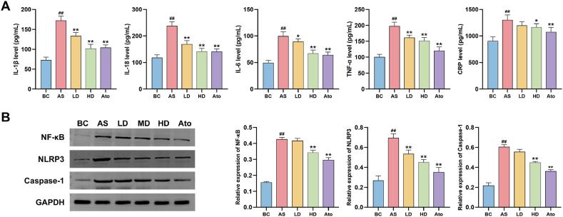 https://cdn.ncbi.nlm.nih.gov/pmc/blobs/bb53/10945261/5a4a5af34341/gr3.jpg
