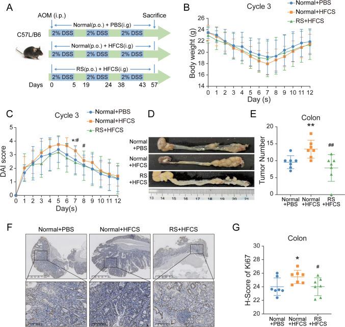 https://cdn.ncbi.nlm.nih.gov/pmc/blobs/bb53/11415400/47a4f1ea7d98/535_2024_2138_Fig1_HTML.jpg
