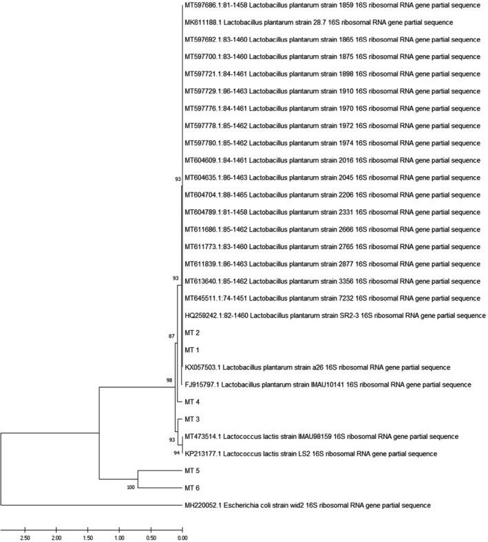 https://cdn.ncbi.nlm.nih.gov/pmc/blobs/bb55/9179165/8b20b6fd6cfa/FSN3-10-2009-g001.jpg