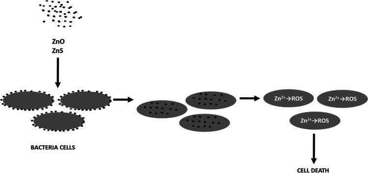 https://cdn.ncbi.nlm.nih.gov/pmc/blobs/bb60/10620276/c5919fc907b7/12011_2023_3631_Fig3_HTML.jpg