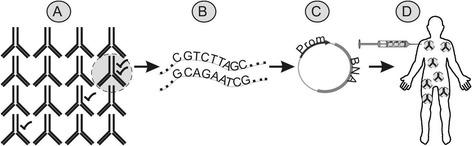 https://cdn.ncbi.nlm.nih.gov/pmc/blobs/bb60/5531025/3e315b19fd2c/40794_2017_46_Fig1_HTML.jpg