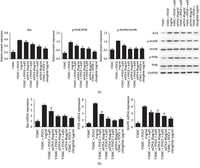 https://cdn.ncbi.nlm.nih.gov/pmc/blobs/bb61/6995496/598225673435/CDTP2020-6869856.006.jpg