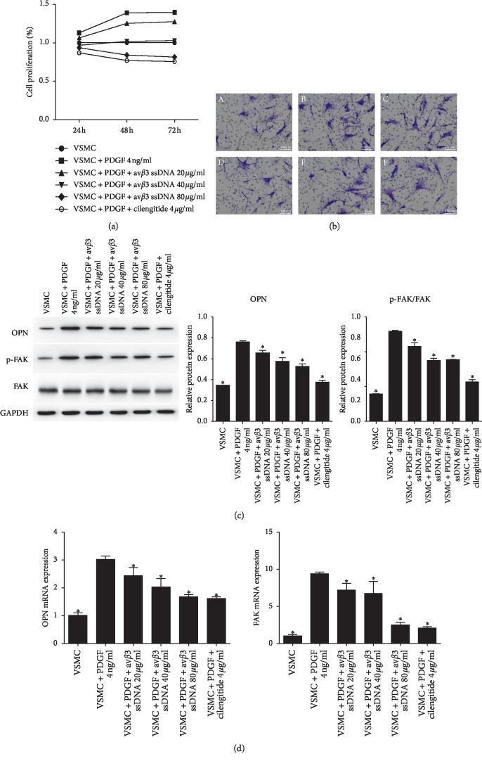 https://cdn.ncbi.nlm.nih.gov/pmc/blobs/bb61/6995496/9dac30cfa2c1/CDTP2020-6869856.004.jpg