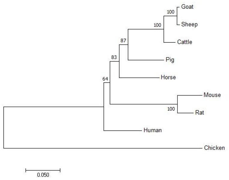 https://cdn.ncbi.nlm.nih.gov/pmc/blobs/bb61/9265053/1d6929247ace/animals-12-01601-g002.jpg