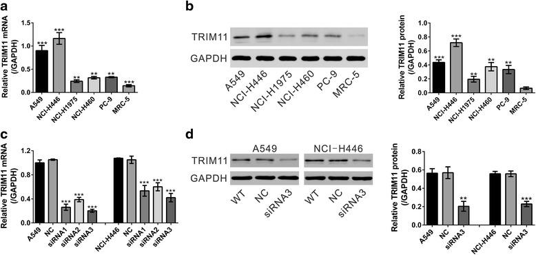https://cdn.ncbi.nlm.nih.gov/pmc/blobs/bb62/4915141/7043381905e5/13046_2016_379_Fig2_HTML.jpg