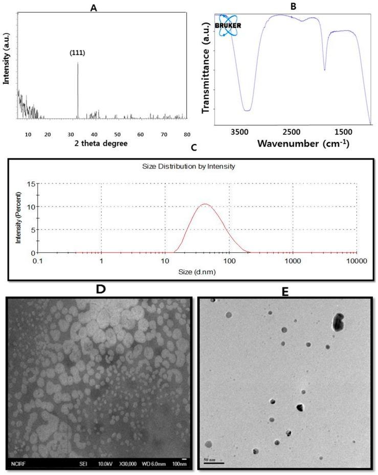 https://cdn.ncbi.nlm.nih.gov/pmc/blobs/bb64/5037809/71b02e4e0495/ijms-17-01534-g001.jpg