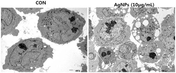 https://cdn.ncbi.nlm.nih.gov/pmc/blobs/bb64/5037809/91e455380784/ijms-17-01534-g008.jpg