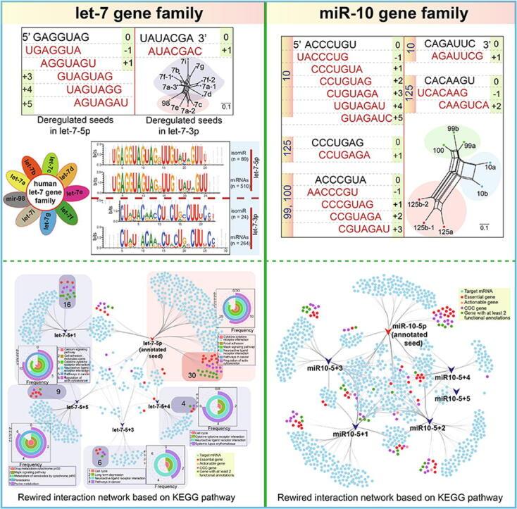 https://cdn.ncbi.nlm.nih.gov/pmc/blobs/bb64/7280754/8c07f1321be8/ga1.jpg