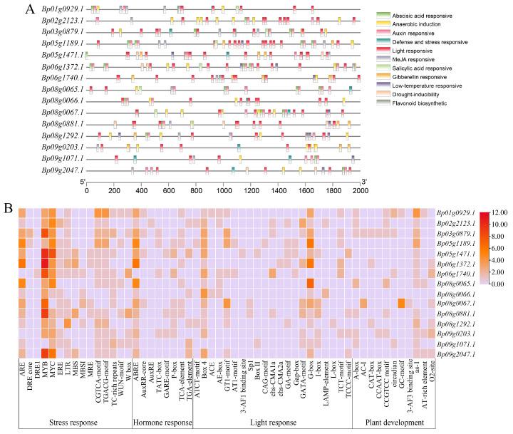 https://cdn.ncbi.nlm.nih.gov/pmc/blobs/bb64/9604540/5826a9fa33a3/ijms-23-12520-g007.jpg