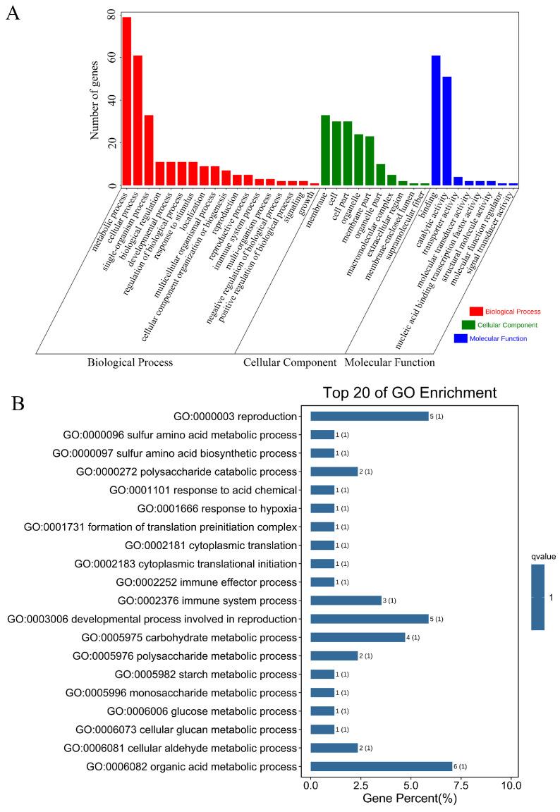 https://cdn.ncbi.nlm.nih.gov/pmc/blobs/bb64/9604540/d2ce324779dd/ijms-23-12520-g004.jpg