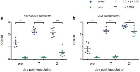 https://cdn.ncbi.nlm.nih.gov/pmc/blobs/bb65/3213121/09a2b98b596a/ppat.1002381.g006.jpg