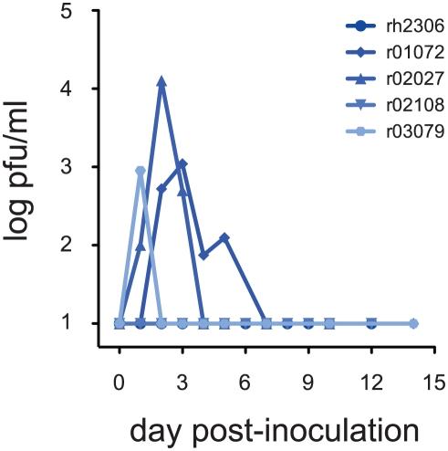 https://cdn.ncbi.nlm.nih.gov/pmc/blobs/bb65/3213121/134e194a4dcd/ppat.1002381.g001.jpg