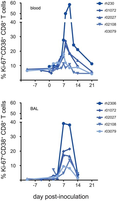 https://cdn.ncbi.nlm.nih.gov/pmc/blobs/bb65/3213121/2bf4b8a3b255/ppat.1002381.g002.jpg
